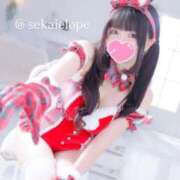 セカイ 人が宣う地獄の先にこそわたしは春を見る バニーコレクション千葉栄町店