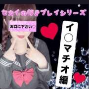 ヒメ日記 2025/12/16 18:01 投稿 セカイ バニーコレクション千葉栄町店