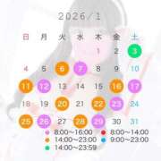 ヒメ日記 2025/12/20 21:30 投稿 セカイ バニーコレクション千葉栄町店