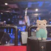 ヒメ日記 2025/12/31 12:53 投稿 セカイ バニーコレクション千葉栄町店