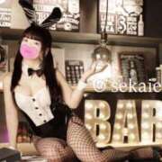 セカイ 嘘と沈黙 バニーコレクション千葉栄町店