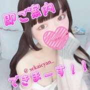 ヒメ日記 2026/01/22 20:13 投稿 セカイ バニーコレクション千葉栄町店