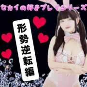 ヒメ日記 2026/01/24 12:04 投稿 セカイ バニーコレクション千葉栄町店