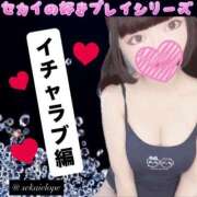 ヒメ日記 2026/01/24 18:01 投稿 セカイ バニーコレクション千葉栄町店