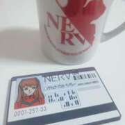 ヒメ日記 2026/02/11 17:18 投稿 セカイ バニーコレクション千葉栄町店