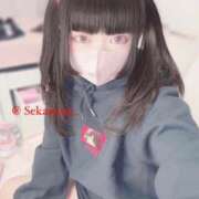 セカイ エヴァ完全新作シリーズ制作始動 バニーコレクション千葉栄町店