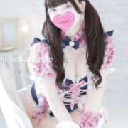 ヒメ日記 2026/04/15 22:15 投稿 セカイ バニーコレクション千葉栄町店