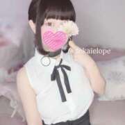 セカイ ⭐️ゲリラ出勤⭐️ バニーコレクション千葉栄町店