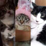 ヒメ日記 2025/10/26 08:07 投稿 りく 奥鉄オクテツ神奈川店（デリヘル市場グループ）