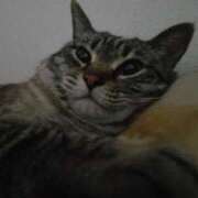 ヒメ日記 2025/10/31 16:12 投稿 りく 奥鉄オクテツ神奈川店（デリヘル市場グループ）