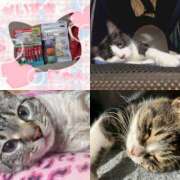 ヒメ日記 2025/11/23 07:09 投稿 りく 奥鉄オクテツ神奈川店（デリヘル市場グループ）