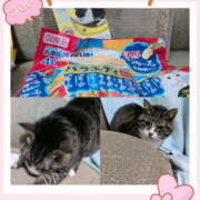 ヒメ日記 2025/12/14 02:35 投稿 りく 奥鉄オクテツ神奈川店（デリヘル市場グループ）