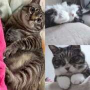 ヒメ日記 2026/02/22 16:34 投稿 りく 奥鉄オクテツ神奈川店（デリヘル市場グループ）