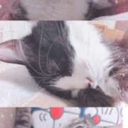 ヒメ日記 2026/03/02 22:57 投稿 りく 奥鉄オクテツ神奈川店（デリヘル市場グループ）