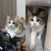 ヒメ日記 2025/08/31 23:58 投稿 りく 奥鉄オクテツ東京店（デリヘル市場）