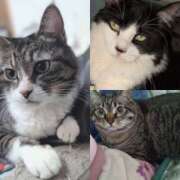 ヒメ日記 2025/10/21 20:13 投稿 りく 奥鉄オクテツ東京店（デリヘル市場）