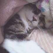 ヒメ日記 2026/02/08 01:26 投稿 りく 奥鉄オクテツ東京店（デリヘル市場）