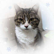 ヒメ日記 2026/02/16 22:24 投稿 りく 奥鉄オクテツ東京店（デリヘル市場）