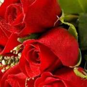 ヒメ日記 2024/12/10 21:46 投稿 野上 熟女の風俗最終章 横浜本店