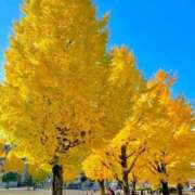 ヒメ日記 2024/12/11 11:15 投稿 野上 熟女の風俗最終章 横浜本店