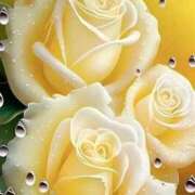 ヒメ日記 2024/12/13 19:04 投稿 野上 熟女の風俗最終章 横浜本店