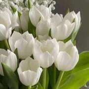 ヒメ日記 2024/12/14 03:24 投稿 野上 熟女の風俗最終章 横浜本店