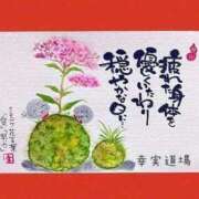 ヒメ日記 2024/12/22 11:06 投稿 野上 熟女の風俗最終章 横浜本店