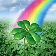 ヒメ日記 2025/01/07 13:04 投稿 野上 熟女の風俗最終章 横浜本店