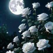 ヒメ日記 2025/02/08 20:18 投稿 野上 熟女の風俗最終章 横浜本店