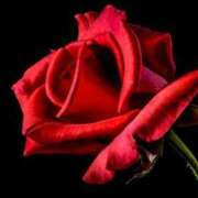 ヒメ日記 2025/02/22 08:34 投稿 野上 熟女の風俗最終章 横浜本店