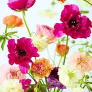 ヒメ日記 2025/02/26 11:14 投稿 野上 熟女の風俗最終章 横浜本店