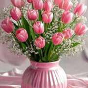 ヒメ日記 2025/03/02 10:17 投稿 野上 熟女の風俗最終章 横浜本店