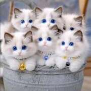 ヒメ日記 2025/04/03 09:44 投稿 野上 熟女の風俗最終章 横浜本店