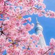 ヒメ日記 2025/04/05 10:45 投稿 野上 熟女の風俗最終章 横浜本店