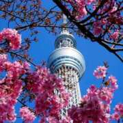 ヒメ日記 2025/04/06 04:14 投稿 野上 熟女の風俗最終章 横浜本店