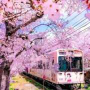 ヒメ日記 2025/04/07 12:54 投稿 野上 熟女の風俗最終章 横浜本店