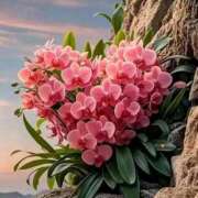 ヒメ日記 2025/04/07 14:24 投稿 野上 熟女の風俗最終章 横浜本店