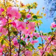 ヒメ日記 2025/05/01 09:04 投稿 野上 熟女の風俗最終章 横浜本店