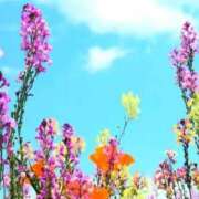 ヒメ日記 2025/05/04 10:20 投稿 野上 熟女の風俗最終章 横浜本店