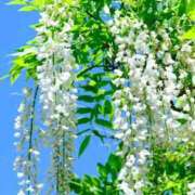 ヒメ日記 2025/05/07 07:34 投稿 野上 熟女の風俗最終章 横浜本店