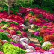 ヒメ日記 2025/05/15 09:54 投稿 野上 熟女の風俗最終章 横浜本店