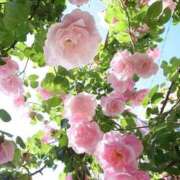 ヒメ日記 2025/05/16 10:04 投稿 野上 熟女の風俗最終章 横浜本店