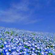 ヒメ日記 2025/05/18 18:24 投稿 野上 熟女の風俗最終章 横浜本店