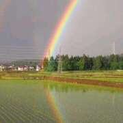 ヒメ日記 2025/05/23 10:22 投稿 野上 熟女の風俗最終章 横浜本店