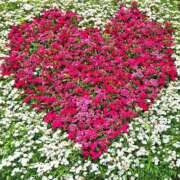 ヒメ日記 2025/05/23 13:05 投稿 野上 熟女の風俗最終章 横浜本店