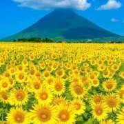 ヒメ日記 2025/05/23 16:04 投稿 野上 熟女の風俗最終章 横浜本店