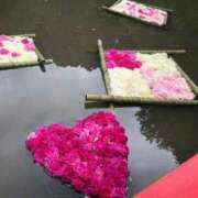 ヒメ日記 2025/05/23 21:57 投稿 野上 熟女の風俗最終章 横浜本店