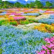 ヒメ日記 2025/05/25 08:34 投稿 野上 熟女の風俗最終章 横浜本店