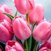 ヒメ日記 2025/05/26 11:14 投稿 野上 熟女の風俗最終章 横浜本店