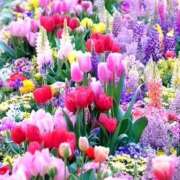 ヒメ日記 2025/05/27 10:21 投稿 野上 熟女の風俗最終章 横浜本店